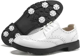 Men's Golf Shoes Professional Man Spikeless Golf Sports Sneakers Male Golf Walking Training Shoes